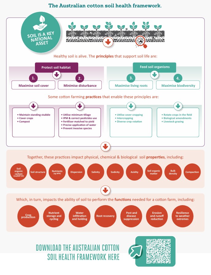 soil health framework image