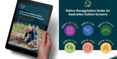 Native Revegetation Guide